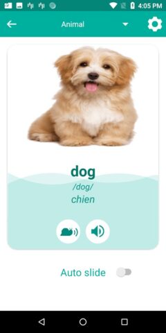 French English Translator для Android — скриншот 2