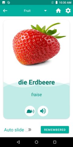 French German Translator для Android — скриншот 4