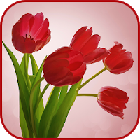 Доброе утро Gif и изображения для Android