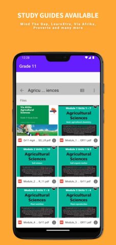 Grade 11 Past Papers and Guide для Android — скриншот 3