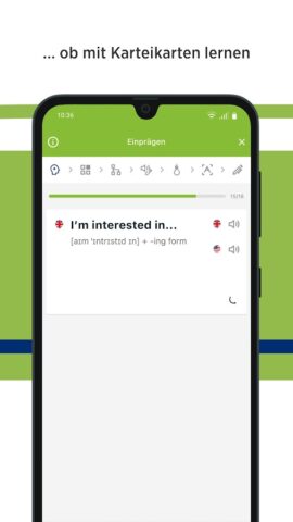 Green Line Vokabeltrainer для Android — скриншот 4