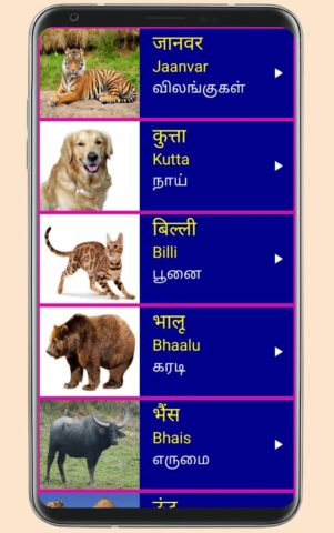 Learn Hindi from Tamil для Android — скриншот 5