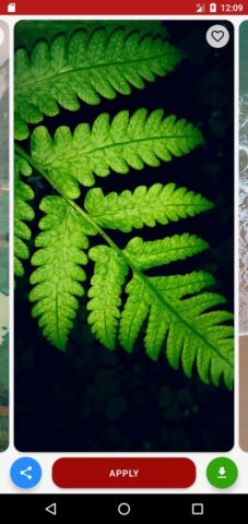 Lock Screen Wallpaper для Android — скриншот 3