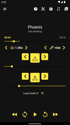 Loop Player для Android — скриншот 1