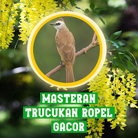 Masteran Trucukan Ropel Gacor для Android