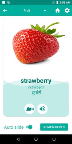 Nepali English Translator для Android — скриншот 4