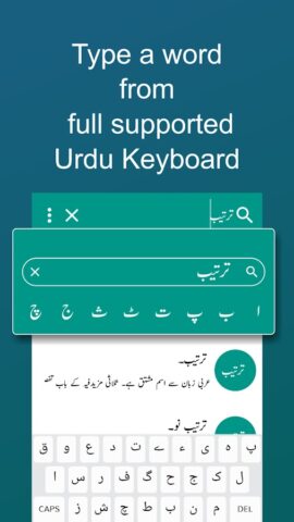Offline Urdu Lughat Dictionary для Android — скриншот 2