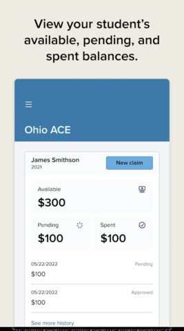 Ohio ACE для Android — скриншот 2