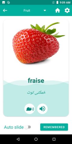 Pashto French Translator для Android — скриншот 4