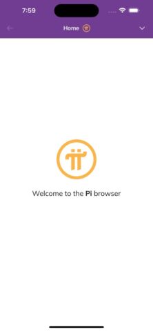 Pi Browser для iOS — скриншот 1