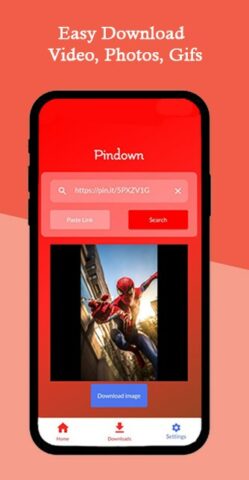Pinterest Video Downloader для Android — скриншот 2