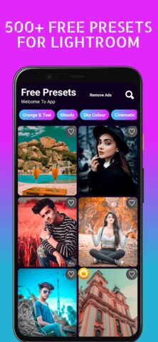 Preset & Filters For LR для Android — скриншот 1