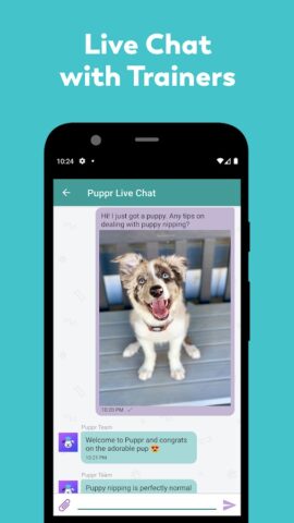 Puppr — Dog Training & Tricks для Android — скриншот 4