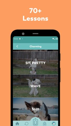 Puppr — Dog Training & Tricks для Android — скриншот 5