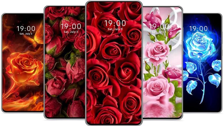 Цветок Роза Фоновые обои для Android — скриншот 1