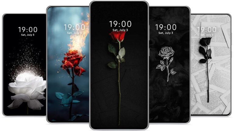 Цветок Роза Фоновые обои для Android — скриншот 3