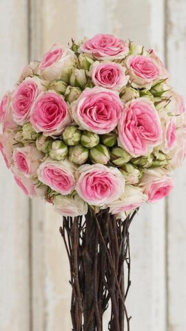 Живые Обои Розы для Android — скриншот 2