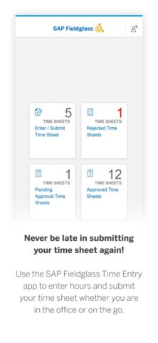 SAP Fieldglass Time Entry для iOS — скриншот 1