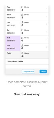 SAP Fieldglass Time Entry для iOS — скриншот 2