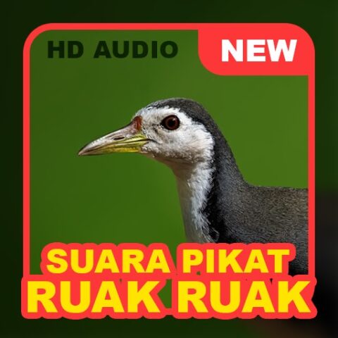 Suara Pikat Burung Ruak Ruak для Android — скриншот 1