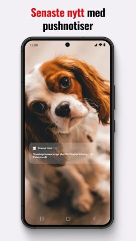 Svensk Dam для Android — скриншот 3