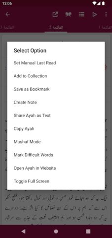 Tafheem ul Quran для Android — скриншот 3