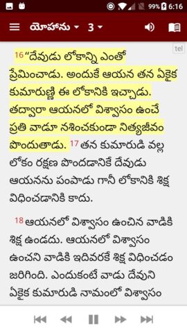 Telugu Bible (తెలుగు బైబిల్) для Android — скриншот 4