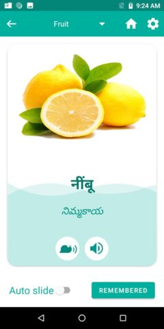 Telugu Hindi Translator для Android — скриншот 4