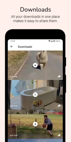 Video Downloader for Reddit для Android — скриншот 4