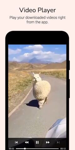 Video Downloader for Reddit для Android — скриншот 5