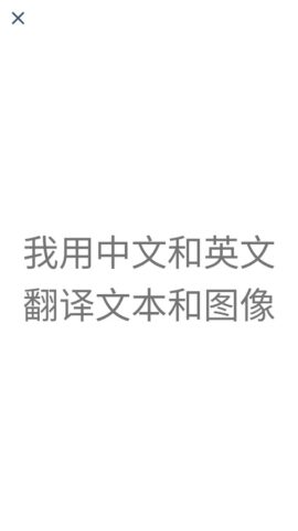 Vietnamese Chinese Translator для Android — скриншот 4