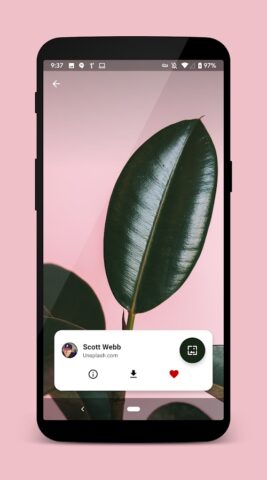 Walpy — Wallpapers — скриншот 3