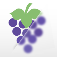 blur effect app для iOS