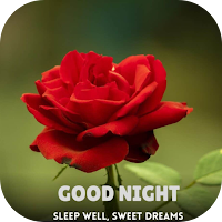 Good Night Roses для Android