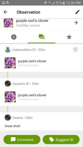 iNaturalist — скриншот 4