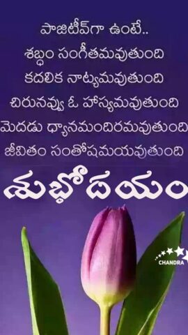 1000+ Telugu Morning Images для Android — скриншот 5