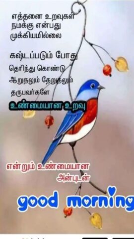 1000+Tamil Good Morning Quotes для Android — скриншот 2
