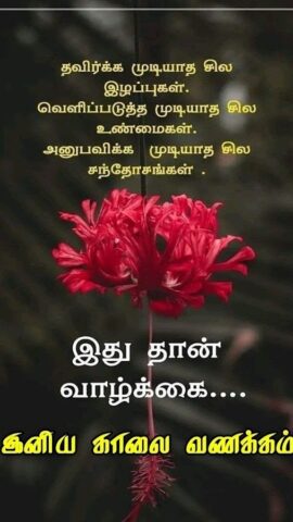 1000+Tamil Good Morning Quotes для Android — скриншот 4