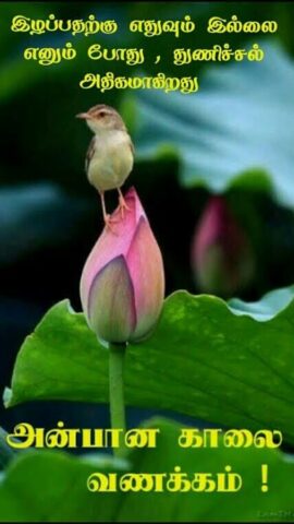 1000+Tamil Good Morning Quotes для Android — скриншот 5