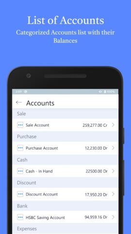 Accounting Bookkeeping для Android — скриншот 4