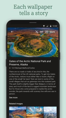 Bing Wallpapers — скриншот 3