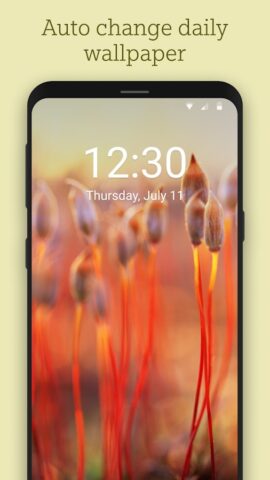 Bing Wallpapers — скриншот 5