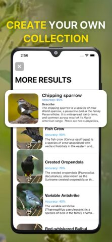 Bird Sound Identifier Bird ID для Android — скриншот 5