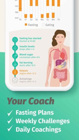 BodyFast Прерывистое голодание для Android — скриншот 4