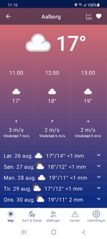 DMI Vejr для Android — скриншот 1