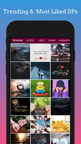 DP for Whatsapp для Android — скриншот 1