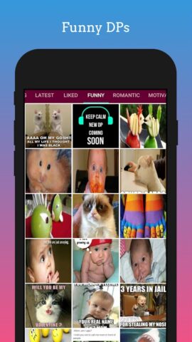 DP for Whatsapp для Android — скриншот 4