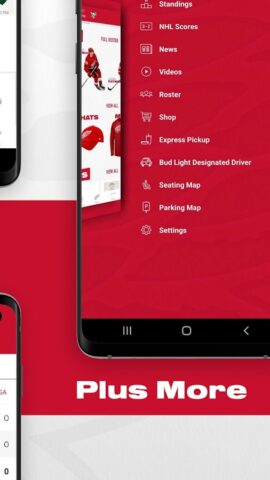 Detroit Red Wings для Android — скриншот 5