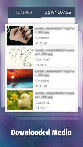 Downloader for Tumblr для Android — скриншот 4