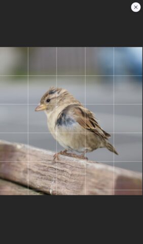 Drawing Grid для Android — скриншот 5